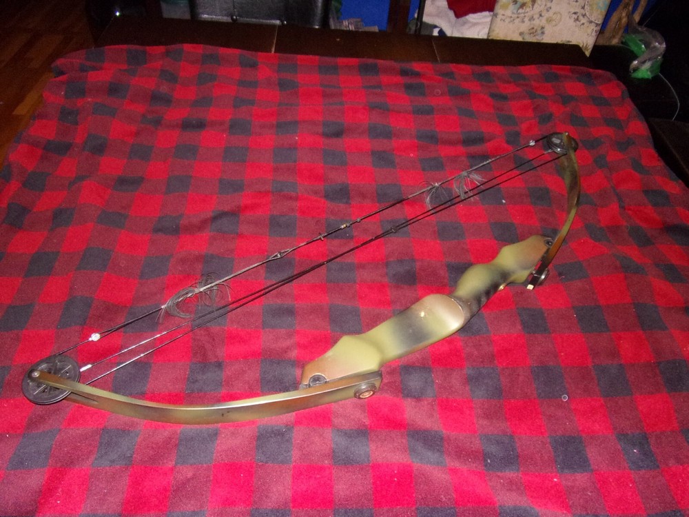 Darton WH300 Compound Bow