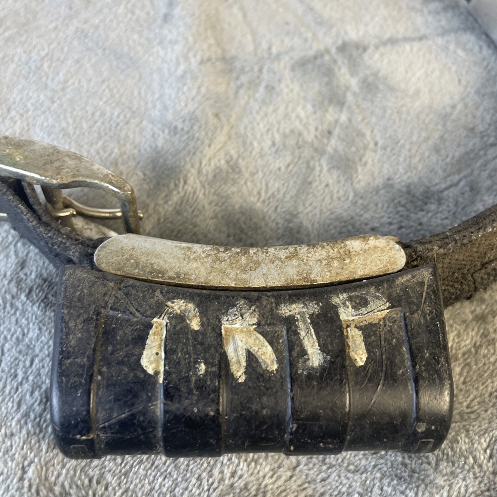 Garmin DC 30 Dog Tracking Collar