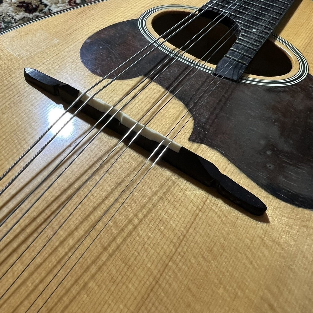 Suzuki M-30 [Mandolin]