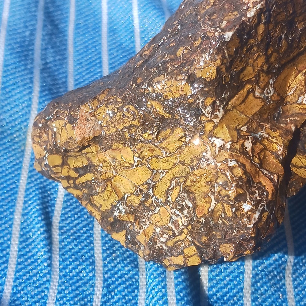 Jasper Rough Specimen Display Lapidary Potential