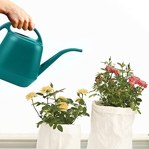 Plastic Watering Can, 1-Gallon, Green