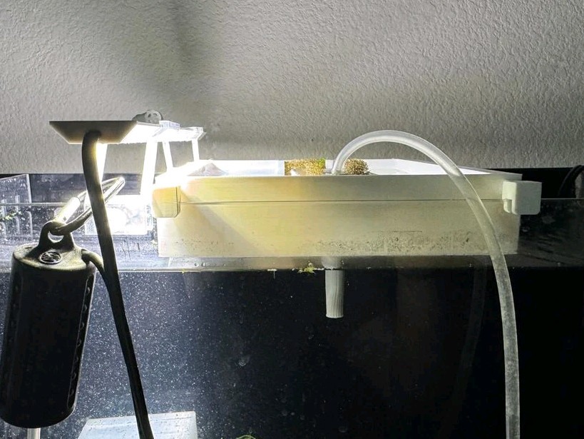 Fry Breeding Tray 3d Printed