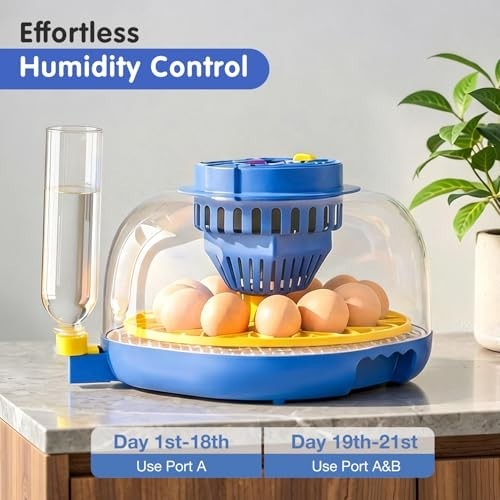 12 Egg Incubator for Hatching - Automatic Turning, Humidity Control, 360° View,