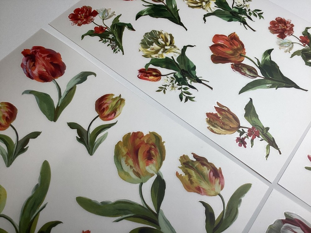 Anna Griffin Tulip Rub On Transfers