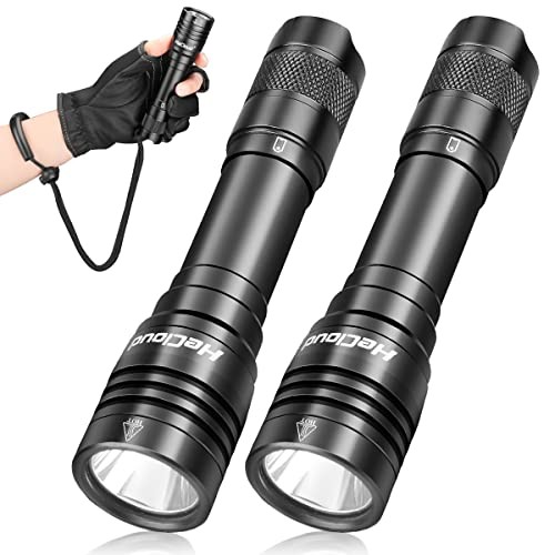 2 Pack Scuba Diving Flashlight with Rechargeable Power Dive Dive Light Black
