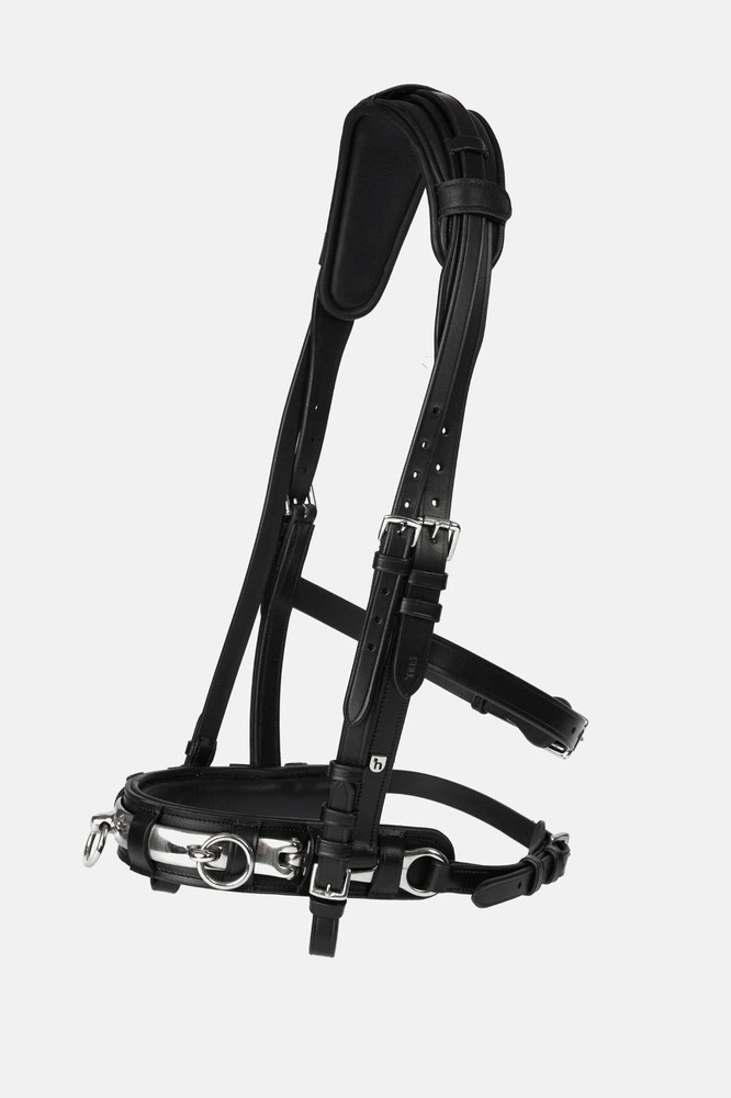 HORZE FULL SIZE LEATHER LUNGING CAVESSON