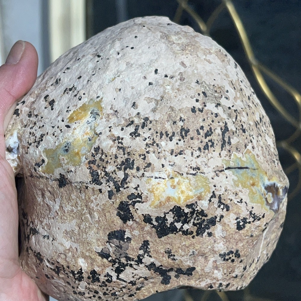 Brazilian Agate Quartz Geode - Half