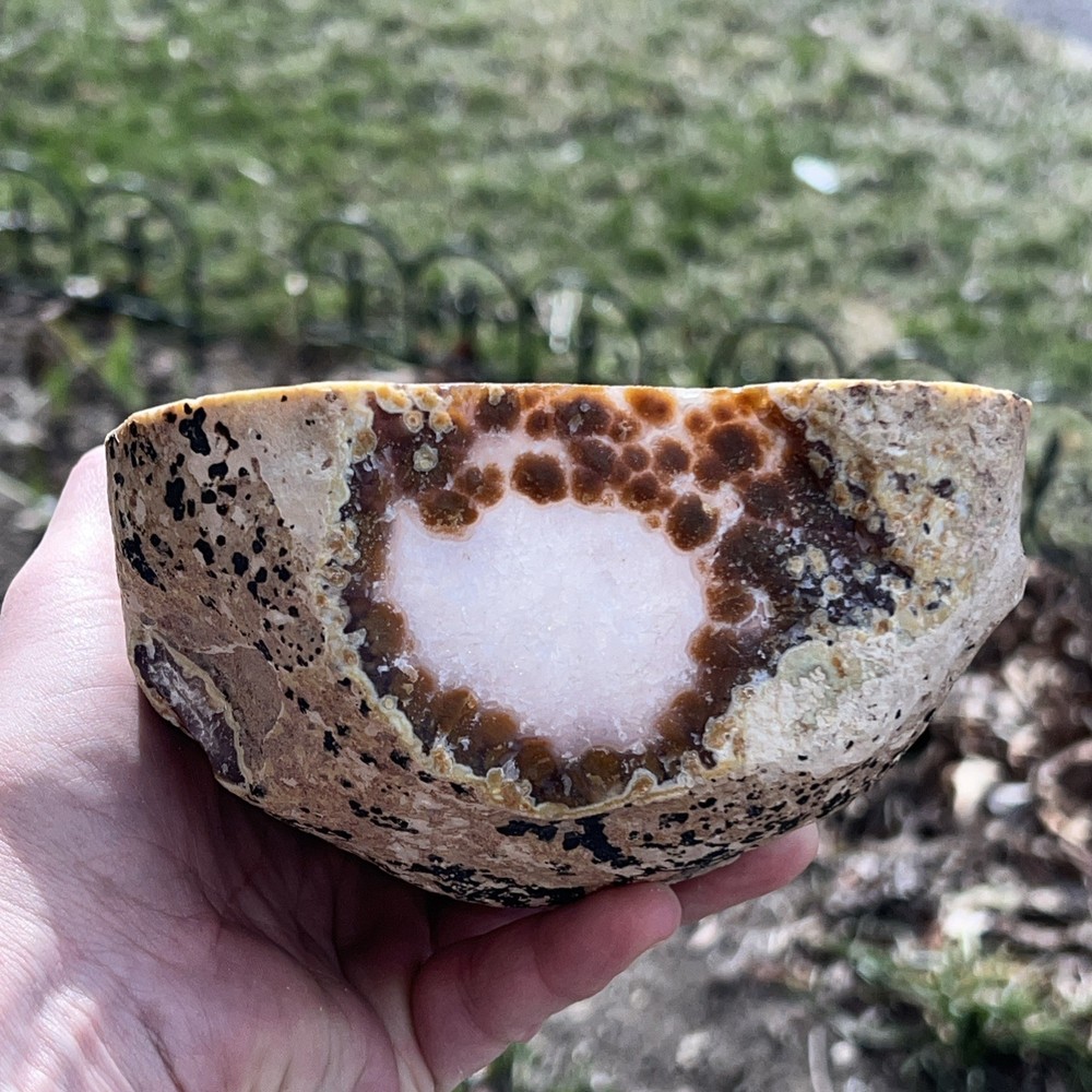 Brazilian Agate Quartz Geode - Half