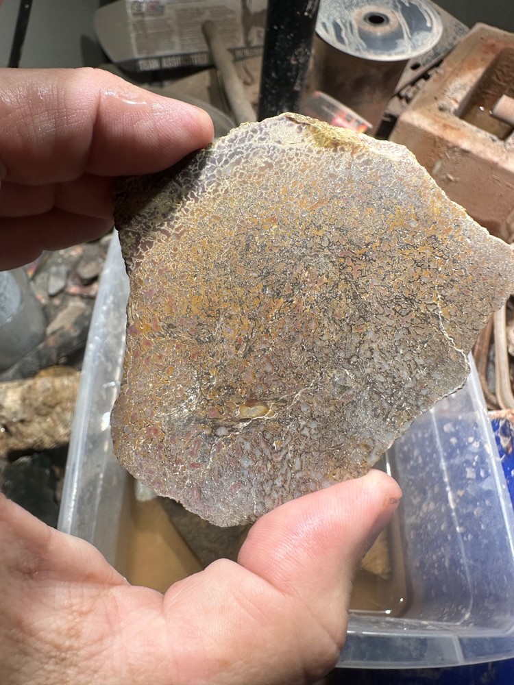 Dinosaur bone rough high grade slab.