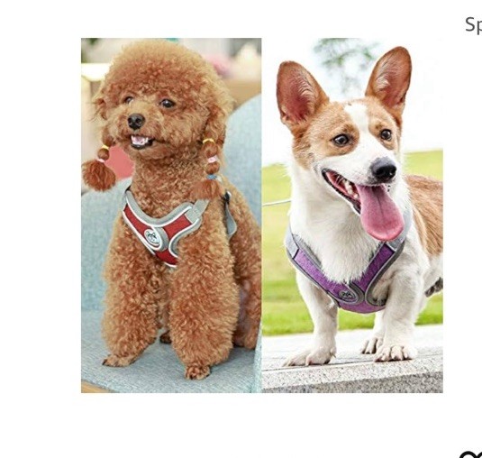 No pull dog camisole reflective small dog leash/harness