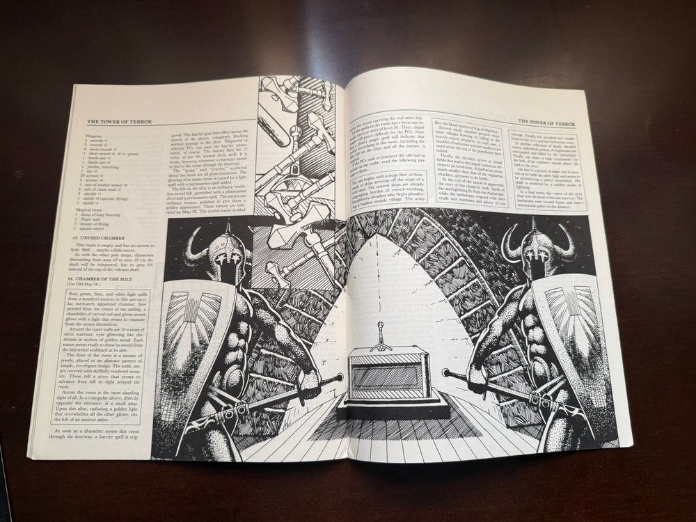 D&D TSR Adventure Module “Sabre River”