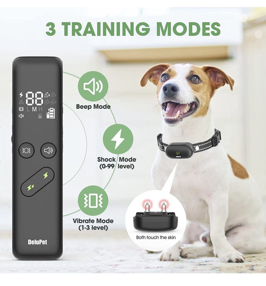 dog training collar with remote