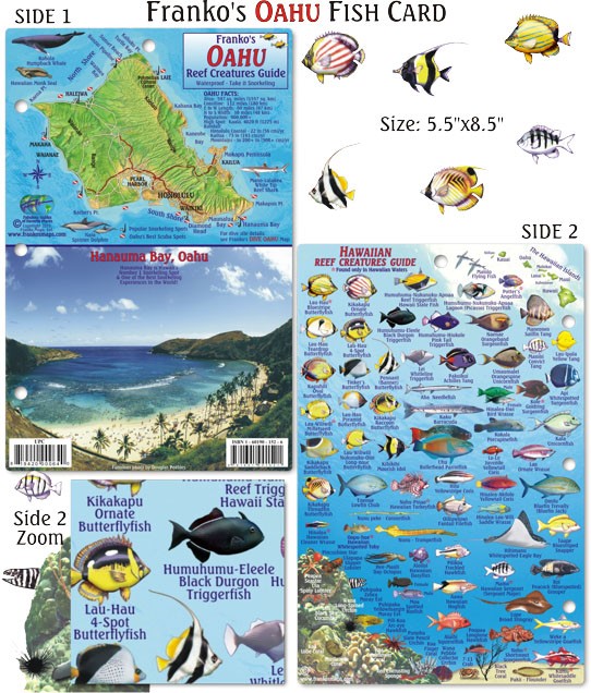 Franko Maps - Oahu Reef Fish ID