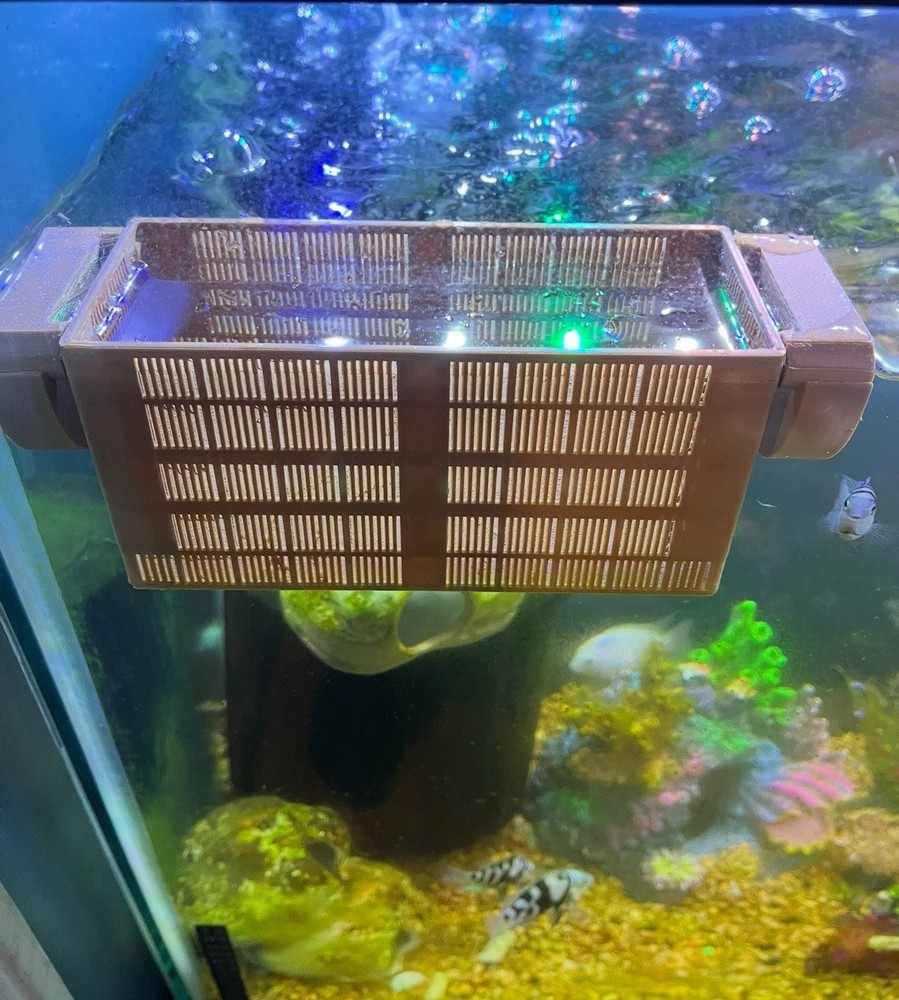 Plastic Aquarium Breeder Hatchery Box Rectangular for All Water Types