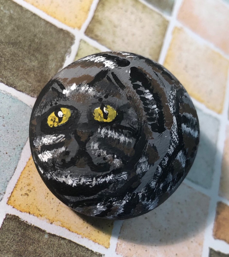 painted rocks art Cat