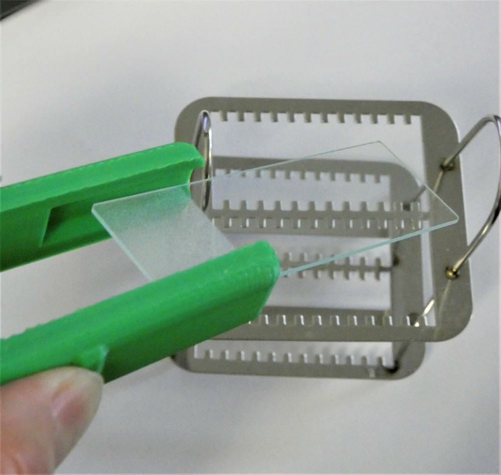 Plastic Microscope Slides Forceps Holder Rack For 3"x1" Standard Slide Staining