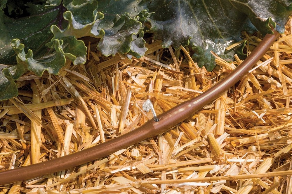 Drip Irrigation Pressure Compensating 1/4