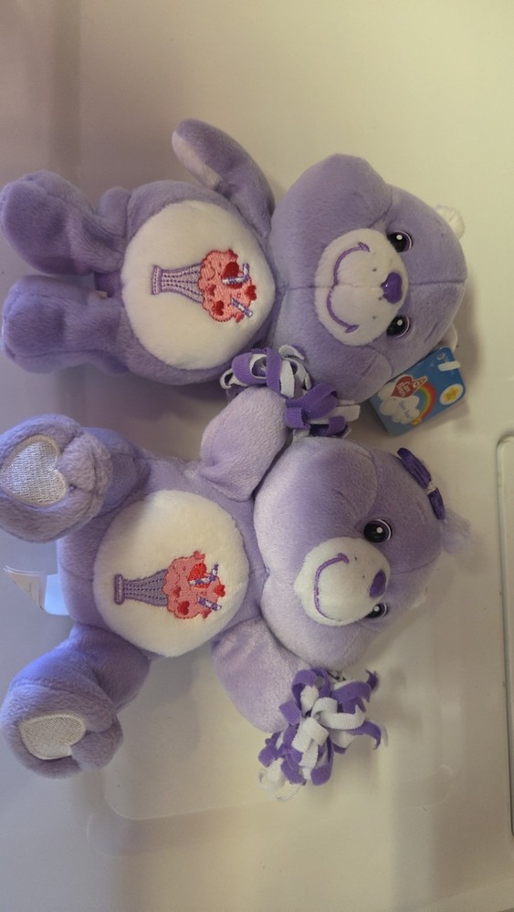13in 20th Anniversary Share Care Bear