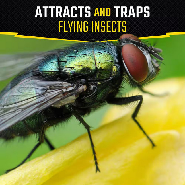 Fly Stick Insect Trap