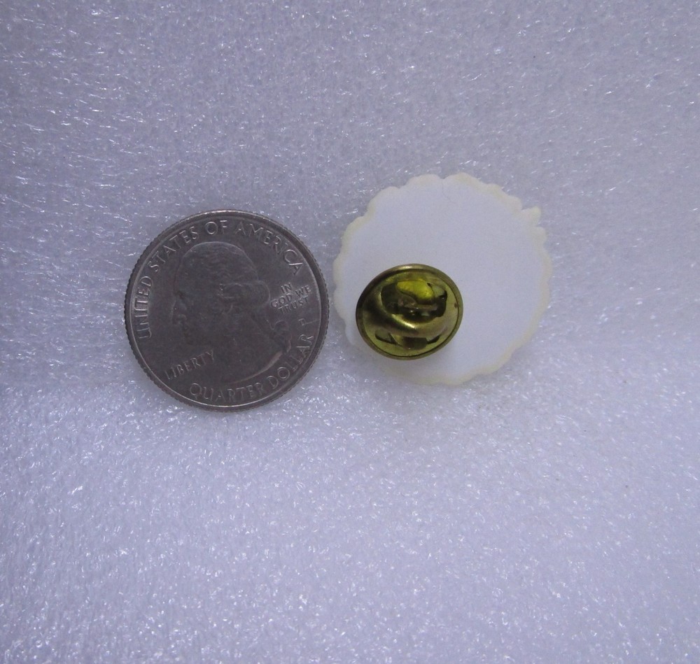 Oakleigh Historic Complex Plastic Pin