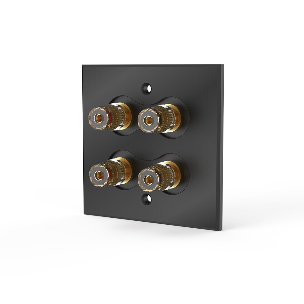 Speaker Binding Post Faceplate Audio Terminal Panel 5.1 System 86 Type Banana