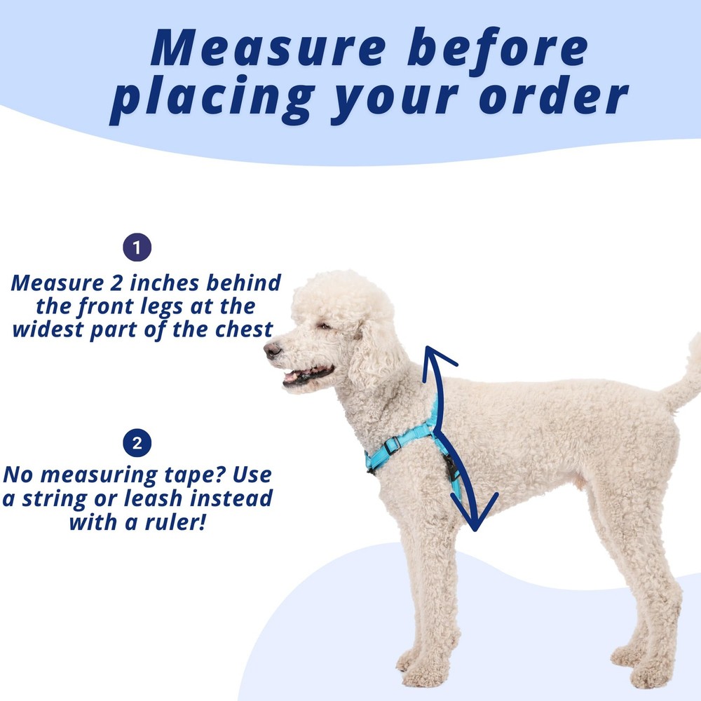 Dream Walk Pro Dog Harness No-Pull Adjustable Halter Stop Pulling ICY Lilac M