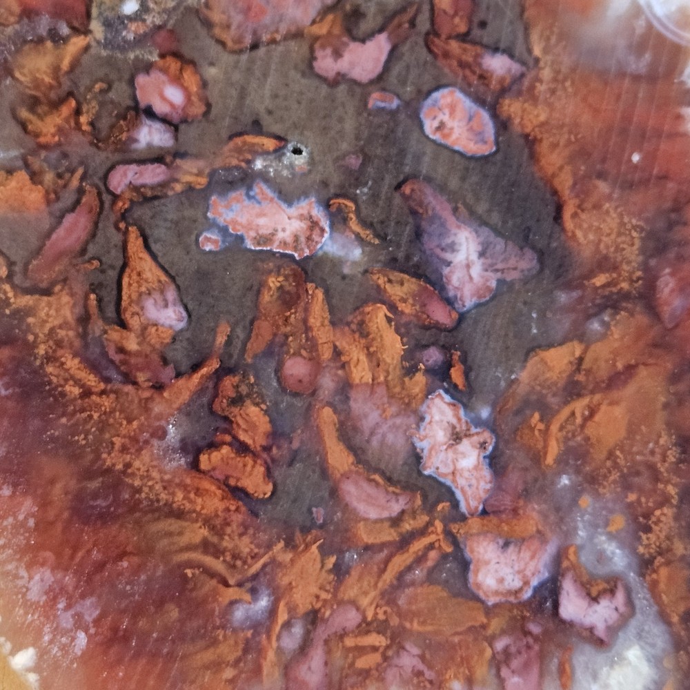 Agate End Cut Lapidary Slab 58 Grams