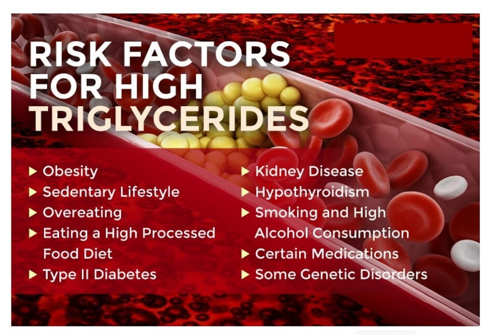 TRIGLYCERIDES REMOVER & FLUSHER - LOWER YOUR TRIGLYCERIDES & SUGAR 540 Capsules