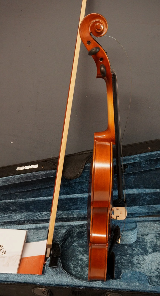 Unlabeled Violin with Case