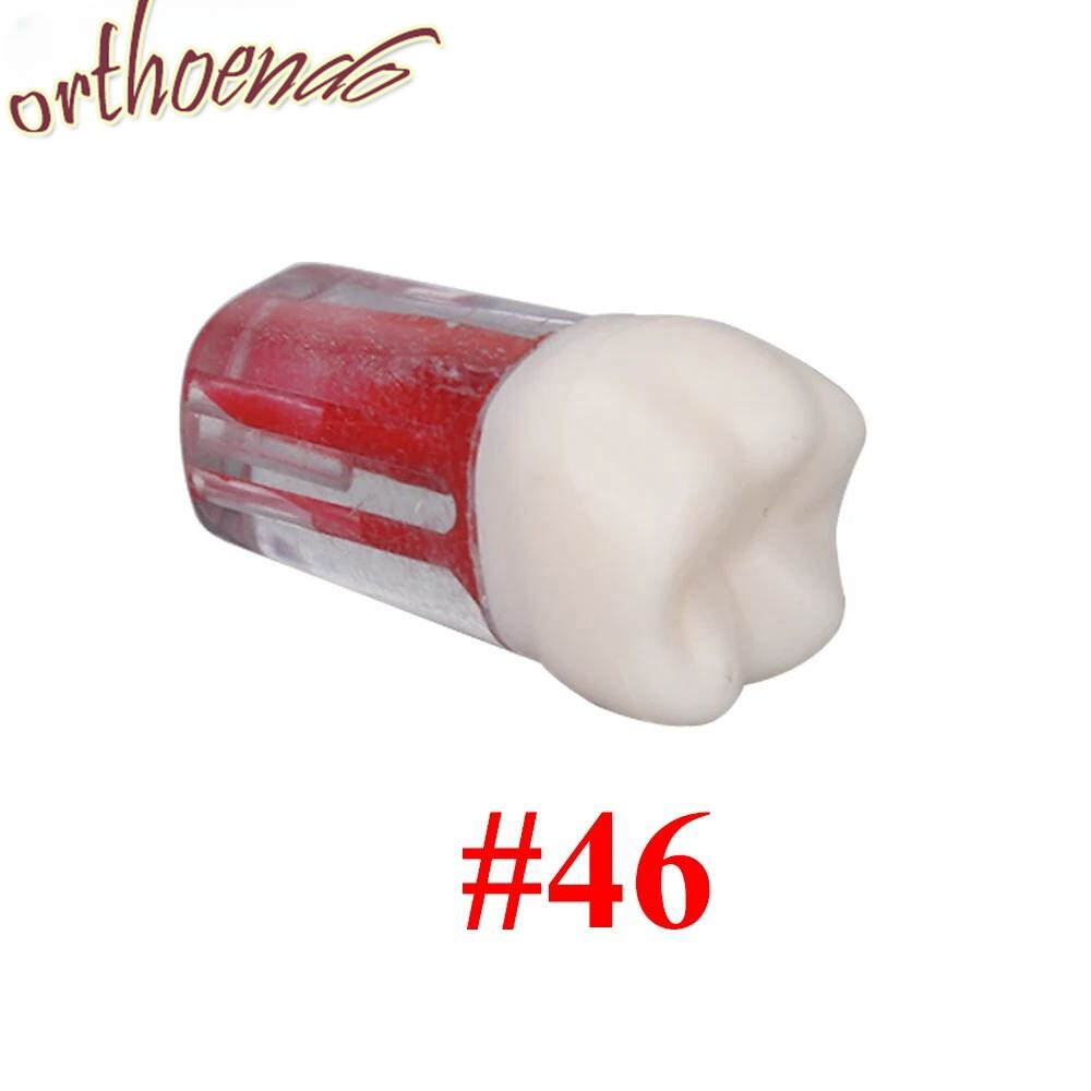 New Dental Endo Root Canal Study Model RCT Practice Block Pulp Cavity 10 Sizes