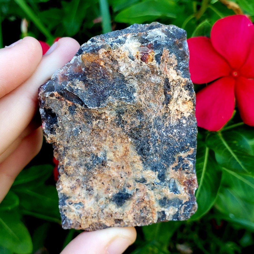 Fossilized Agate shell Cluster druzy natural crystal healing gemstone - #3