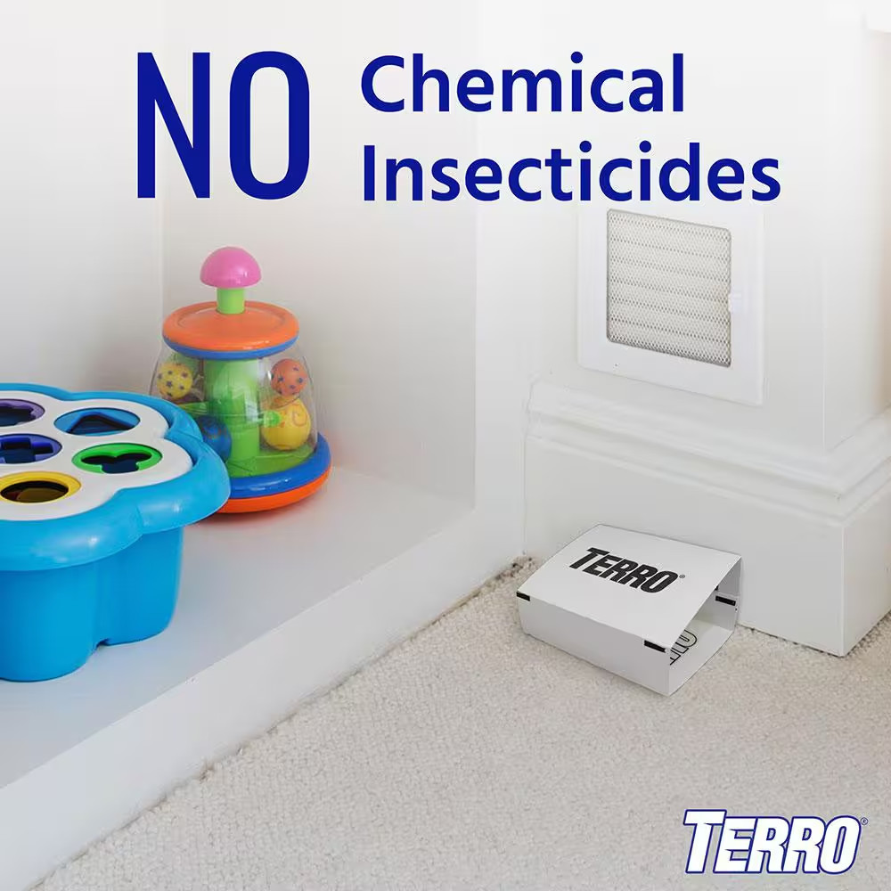 Non-Toxic Spider and Insect Trap (16-Count, 4-Pack)