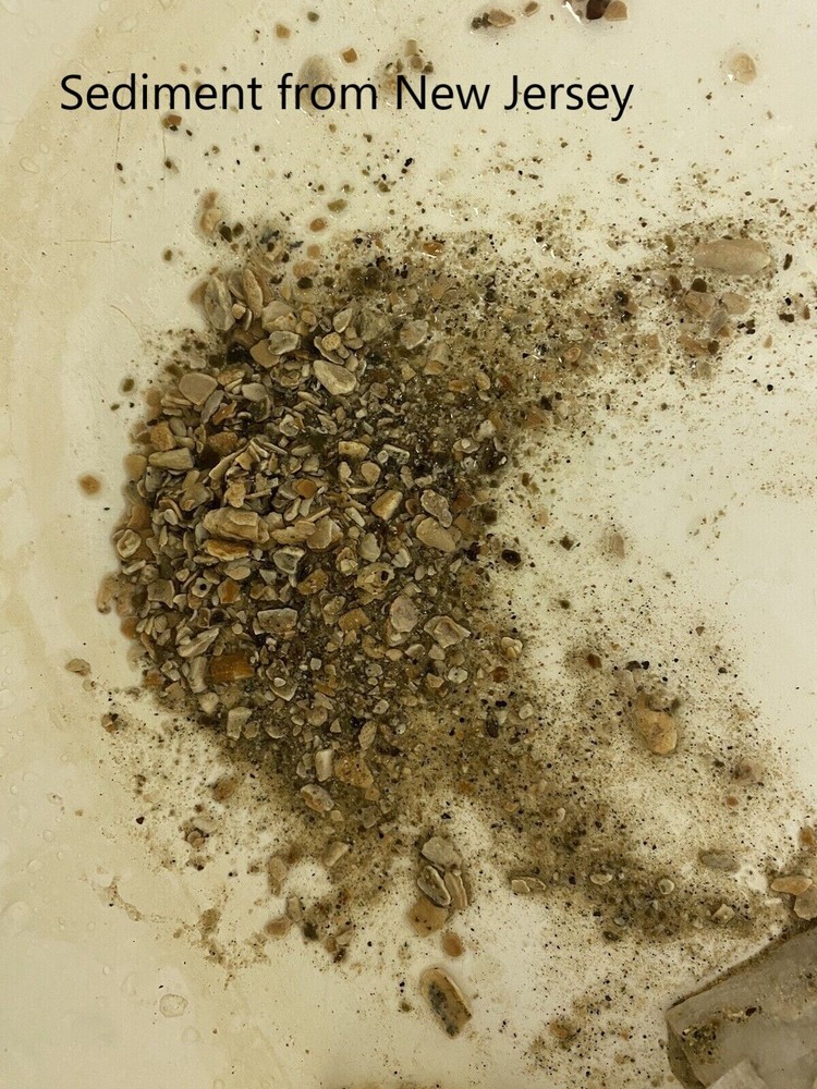 READ THE REVIEWS!!! Brass Water Heater Drain Valve