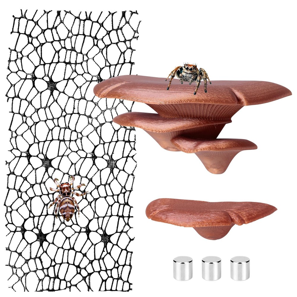 Jumping Spider Hide Habitat Accessories, Brown Enclosure...