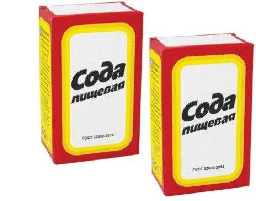 Baking Soda 2 PACK х 500g СОДА Пищевая ГОСТ RF NO GMO