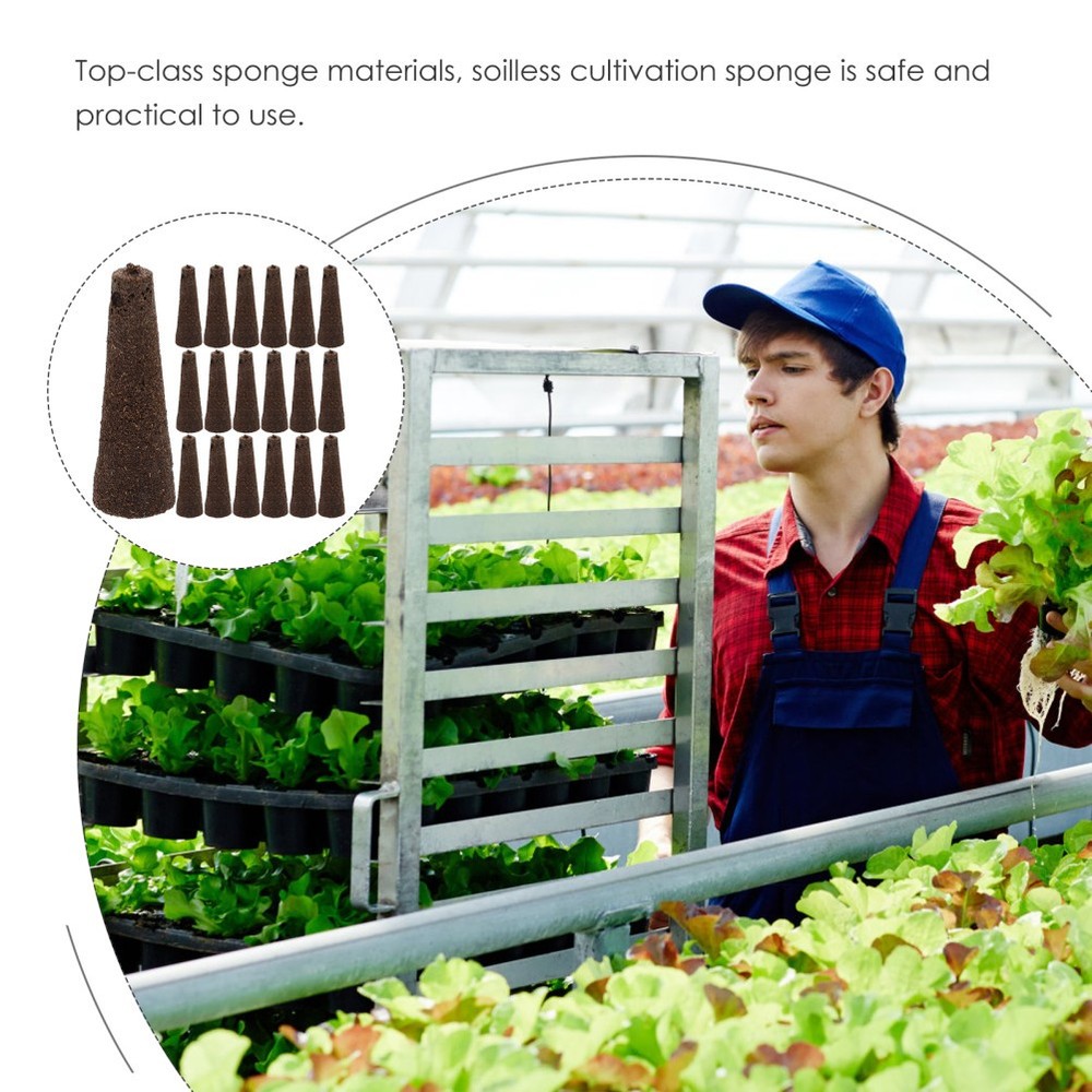 50Pcs Cone Shape Hydroponic Sponges Cultivate Vegetable