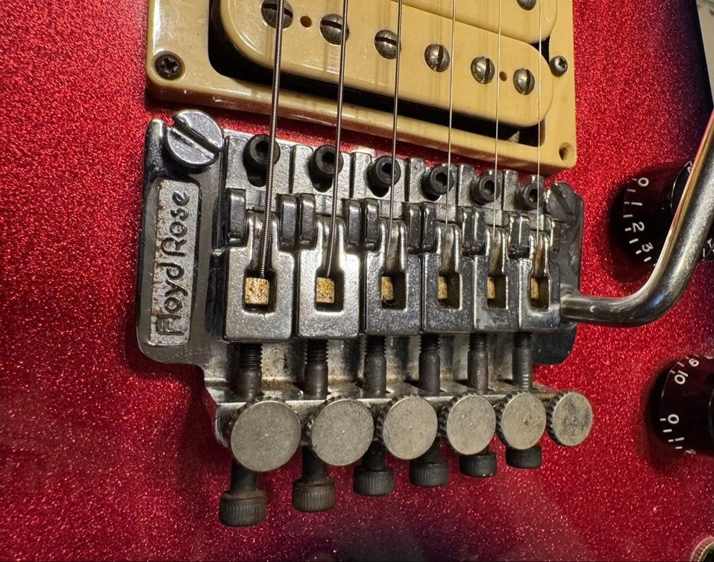 FERNANDES BSV Flying V type Safe Packing!