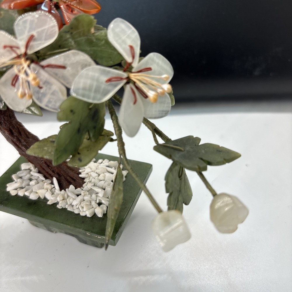Curved Chinese Jade Tree