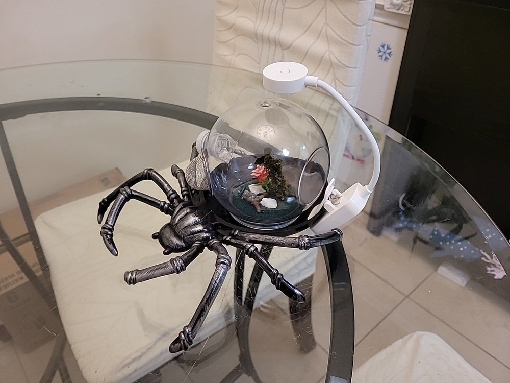 Jumping Spider, Insect Terrarium, Bug Enclosure Silver With Led New Version