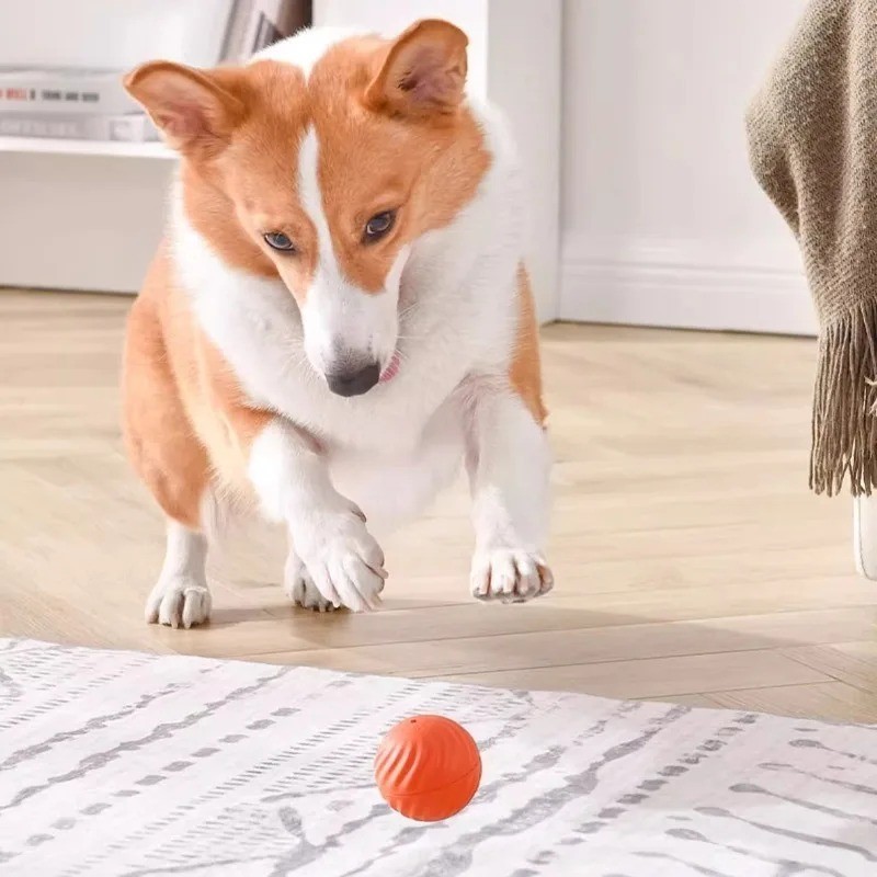 Smart Dog Toy Ball USB Electronic Interactive Pet Toy Automatic Moving Bouncing