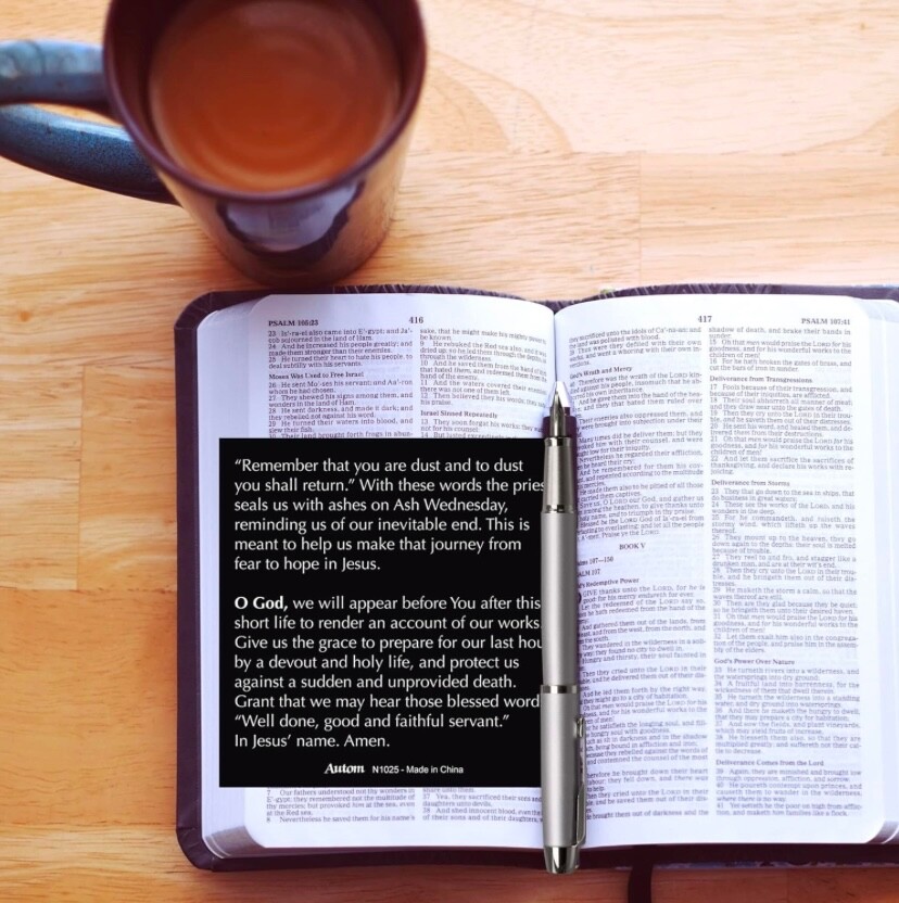 Memento Mori Decade Pocket Rosary Skull Pater Pardon Crucifix Holy Card Catholic