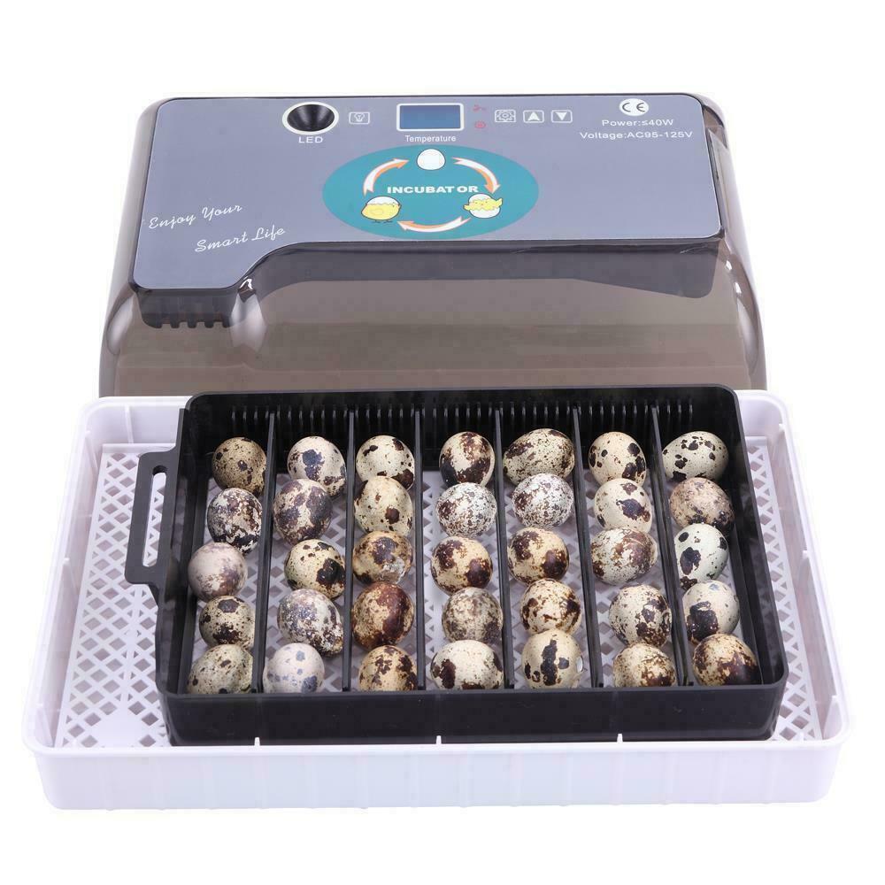 12 Eggs Incubator Automatic Egg Turning Chicken Quail Chick Hatcher Incubators