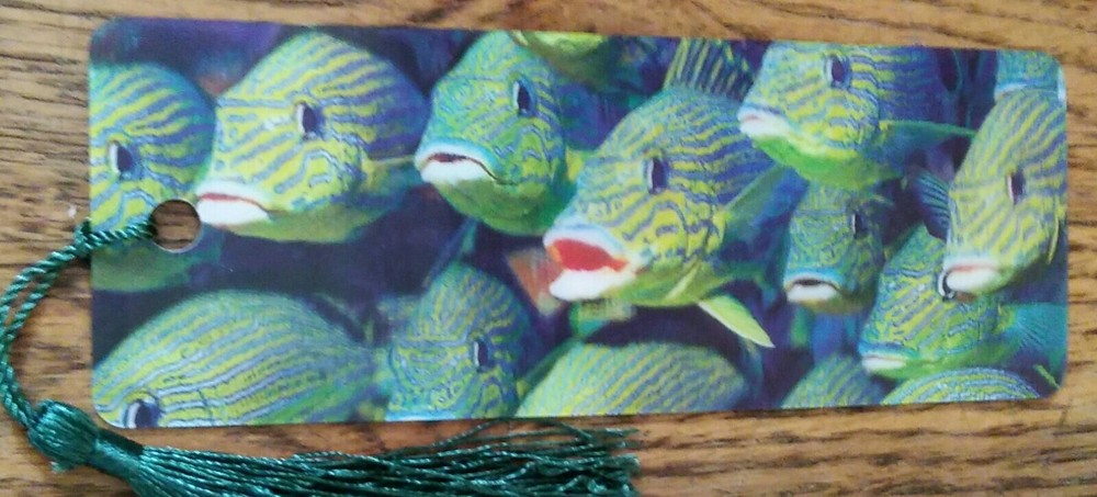 Tropical fish lenticular bookmark