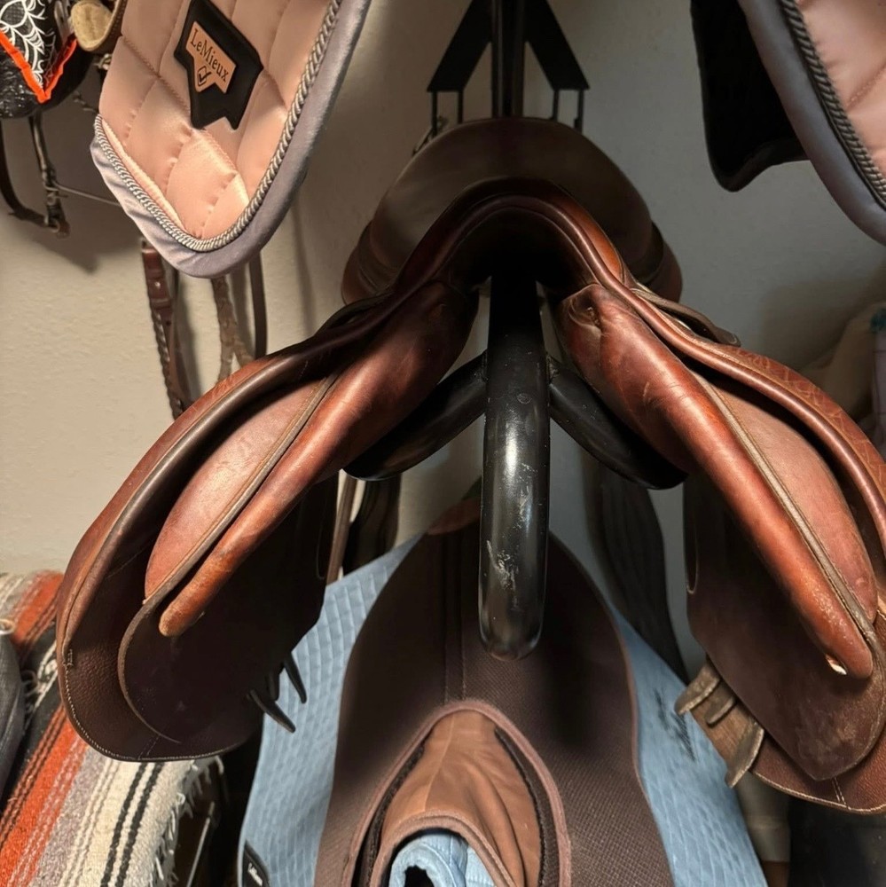 17.5” Arion Saddle