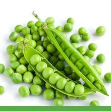 , Organic Lightly Salted Pea Crisps