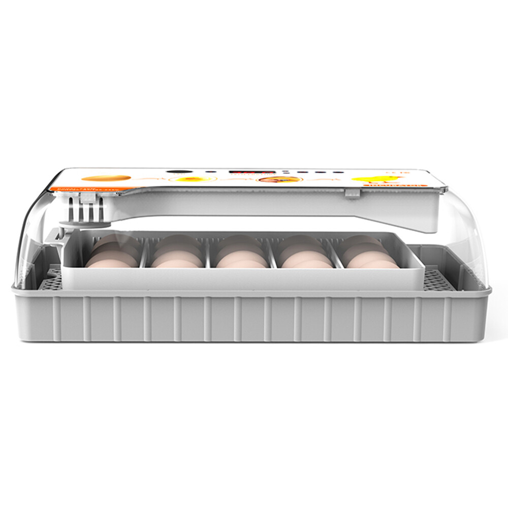20 Egg Automatic Egg Incubator - Digital Turning Hatching Machine