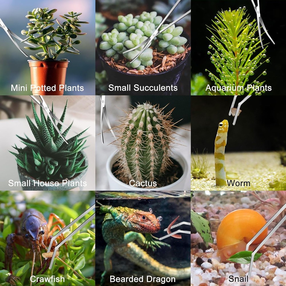 4Pcs Aquascaping Tools Kit Tweezers Scissors Algae Scraper Set