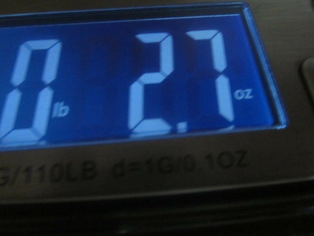 2" STAINLESS STEEL SANITARY END CAP