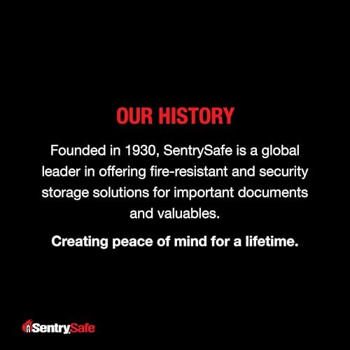 Sentrysafe Black Fireproof Document Box With Key Lock, Safe Secures Fi