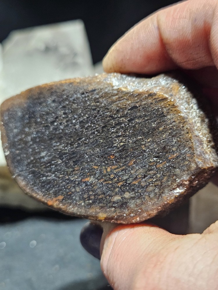 Gem Bone Multicolored Polished Specimen (8.2oz)